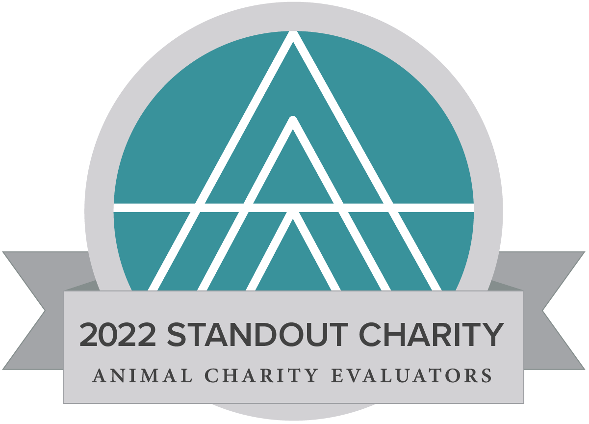 New Harvest is a 2022 standout charity according to Animal Charity Evaluators